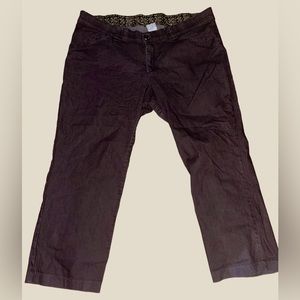 Plus size pants size 24